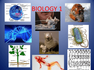 Chapter 1 PowerPoint – Introduction to Biology and Measurement