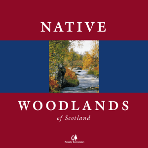 NATIVE WOODLANDS of Scotland
