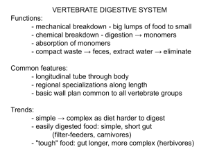 VERTEBRATE DIGESTIVE SYSTEM Functions: