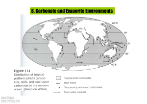 8. Carbonate and Evaporite Environments