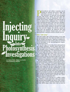 Injecting Inquiry into Photosynthesis Investigations