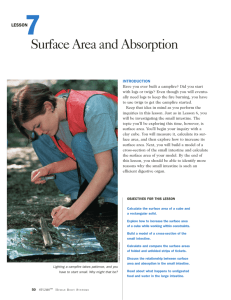 Lesson 7: Surface Area and Absorption