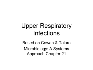 Chapter 21 Upper Respiratory & Influenza