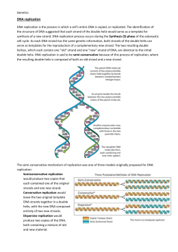 DNA REPLICATION WORKSHEET