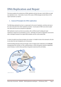 DNA Replication and Repair