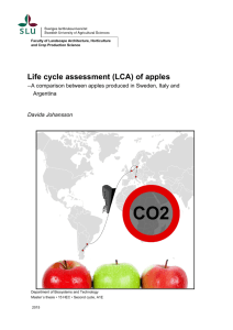 Life cycle assessment (LCA) of apples