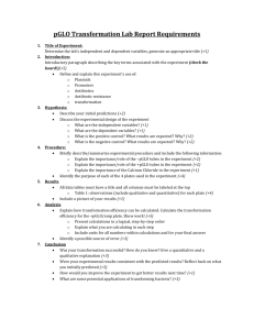 pGLO Transformation Lab Report Requirements