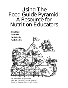 Using The Food Guide Pyramid