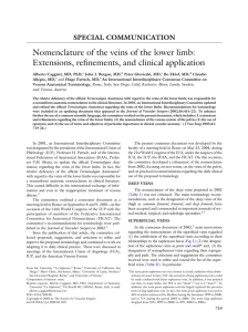 Nomenclature of the veins of the lower limb: Extensions, refinements