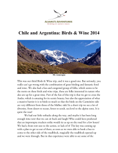 Chile and Argentina: Birds & Wine 2014