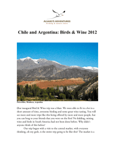 Chile and Argentina: Birds & Wine 2012