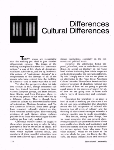 Cultural Differences and the Melting Pot Ideology