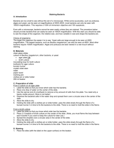 Staining Bacteria