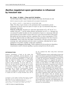 Bacillus megaterium spore germination is influenced by inoculum size