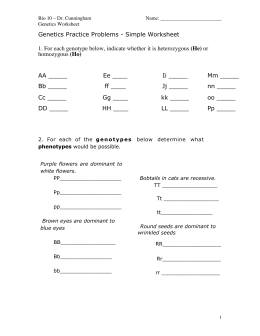 Genetics Practice Problems Simple Worksheet He Ho Aa