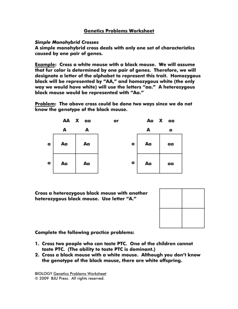 Monohybrid And Dihybrid Crosses Worksheet