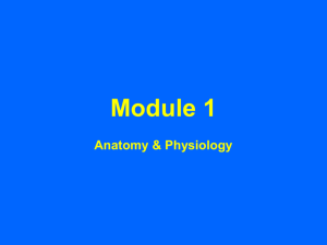 12 Lead ECG Training Module 1 Anatomy & Physiology