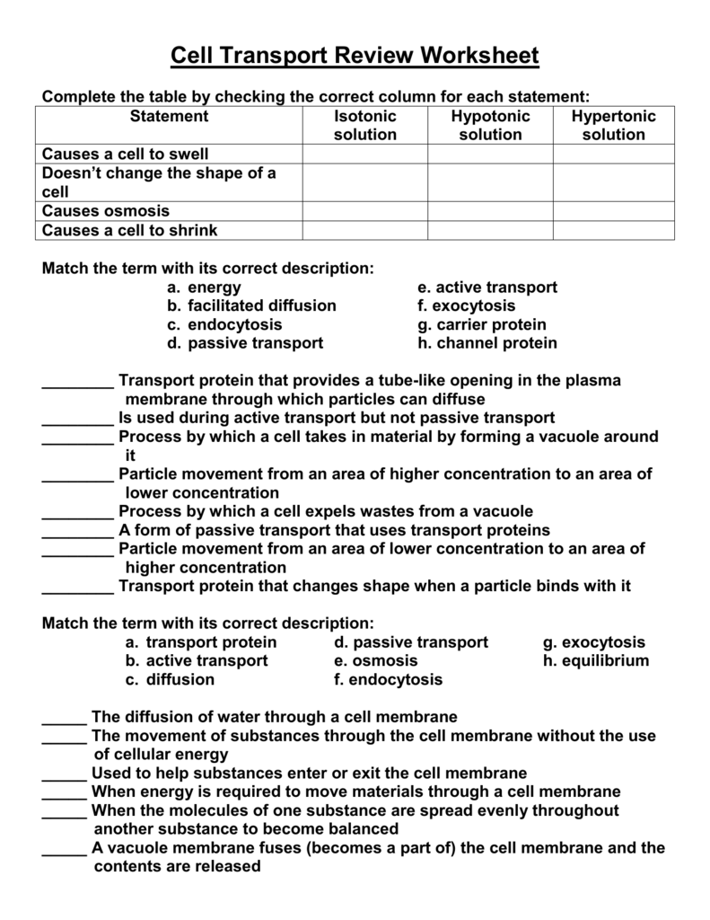 Cell Transport Review Worksheet Within Cell Transport Review Worksheet