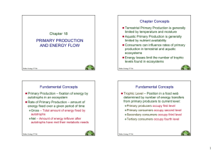 PRIMARY PRODUCTION AND ENERGY FLOW