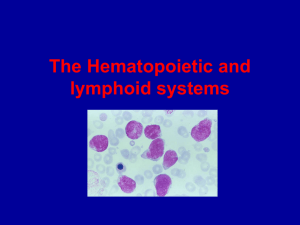 The Hematopoietic and lymphoid systems