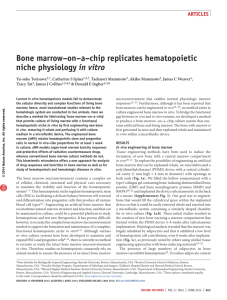 Bone marrow–on–a–chip replicates hematopoietic niche physiology