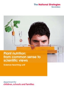 Plant nutrition: from common sense to scientific views