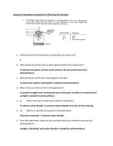 Answer to Worksheet on Nutrition in Plant (by Mr