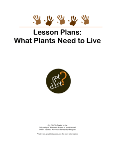 Lesson Plans: What Plants Need to Live
