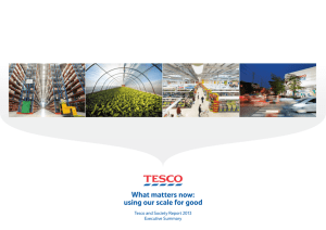 Tesco and Society Report 2013 - Summary