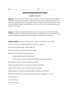 Stream Ecology Project Student Guidelines and Rubric