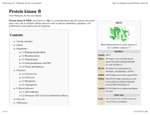 Protein kinase B - Wikipedia, the free encyclopedia