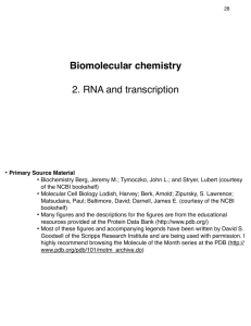 Biomolecular chemistry 2. RNA and transcription