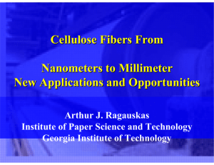 Cellulose Fibers From Nanometers to Millimeter New Applications