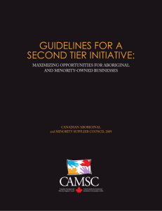 guidelines for a second tier initiative