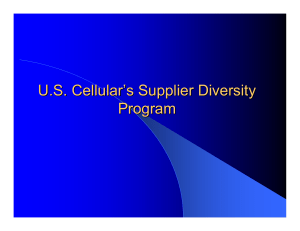 U.S. Cellular's Supplier Diversity Program