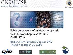 Public Perceptions of Nanotechnology Risk