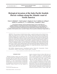 Biological invasion of the Indo-Pacific lionfish