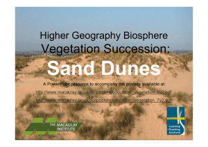 Dune Succession