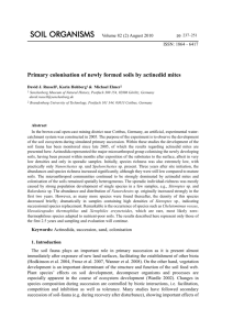 Primary colonisation of newly formed soils by actinedid mites