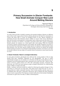 Primary Succession in Glacier Forelands: How Small Animals