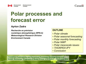 Polar processes and forecast error