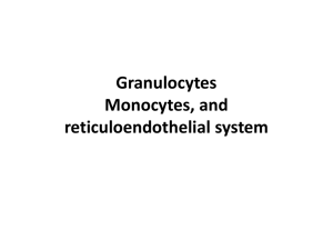 Granulocytes Monocytes, and reticuloendothelial