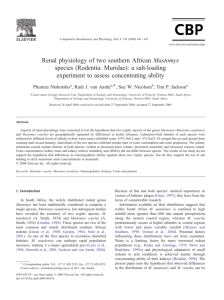 Renal physiology of two southern African Mastomys species