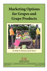 Marketing Options for Grapes and Grape Products