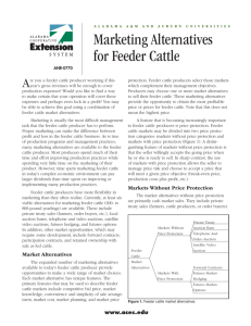 Marketing Alternatives for Feeder Cattle