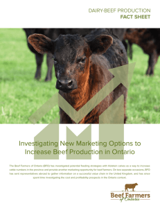 Investigating New Marketing Options to Increase Beef Production in