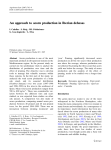 An approach to acorn production in Iberian dehesas