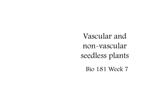 Vascular and non-vascular seedless plants