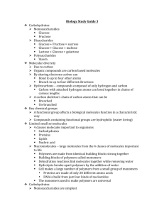Biology Study Guide 3 Carbohydrates Monosaccharaides Glucose
