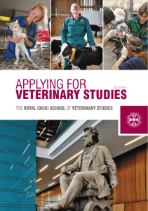 applying for veterinary studies